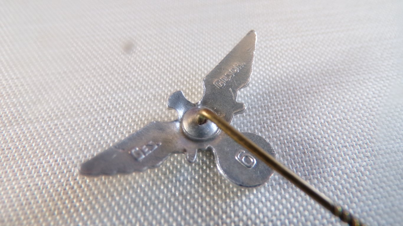 25 MM NSRKB veterans Stickpin