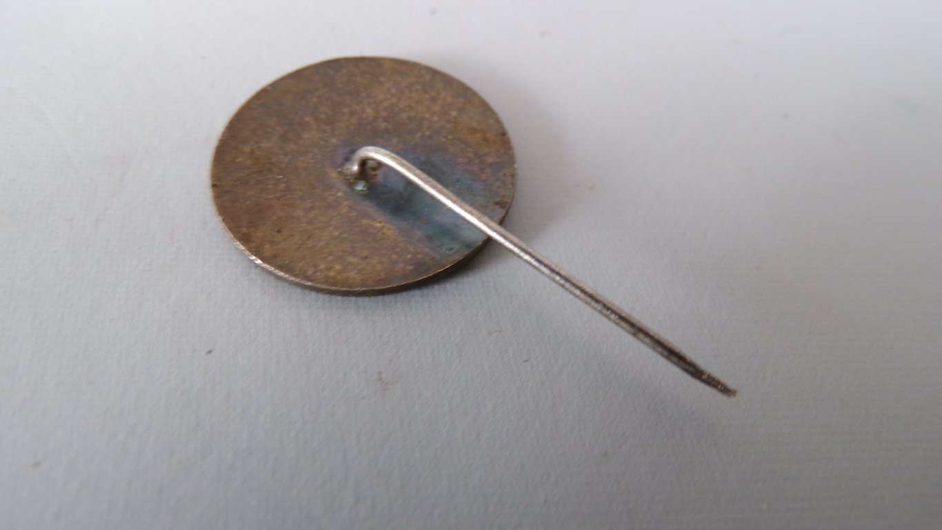 N.S.D.A.P party pin on needle