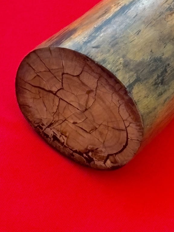 INCREDIABLE AUTHENTIC ORIGINAL 40,000 WOOLLY MAMMOTH TUSK.