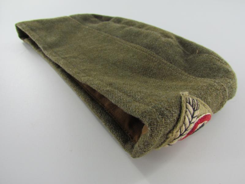 RAD ( Reichsarbeitsdienst ) EM/NCO's Overseas Cap