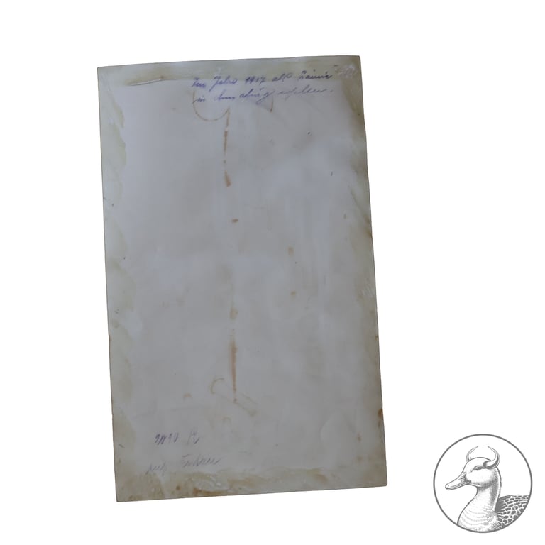 Fotografie Oswald Boelcke + Postkarte Boelcke und Immelmann 1.WK Pour le Merite