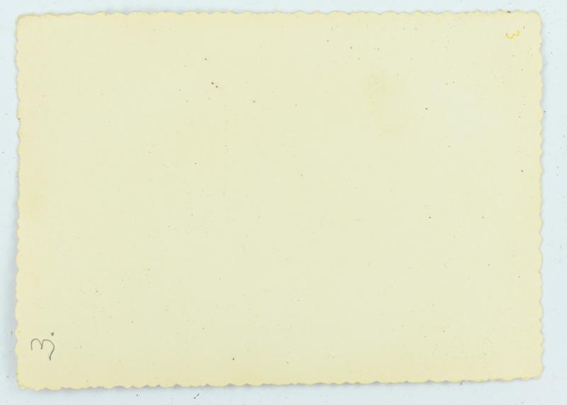German LW Picture Flight Ace