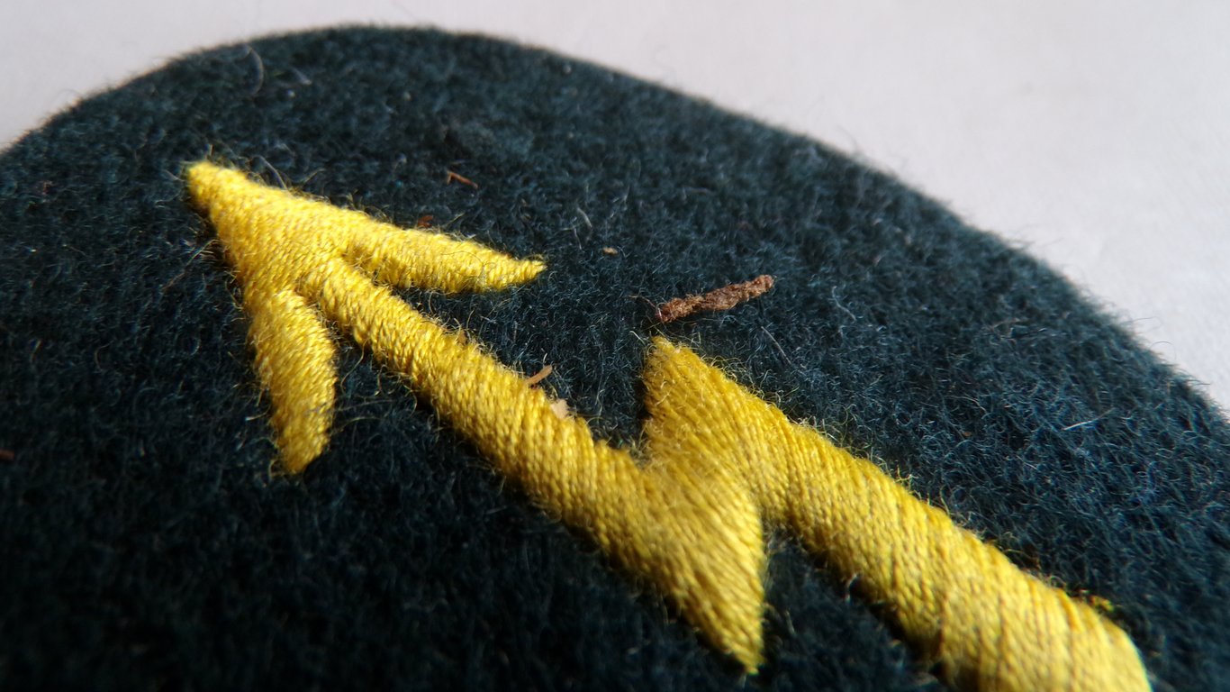 Signals Specialist Sleeve Badge