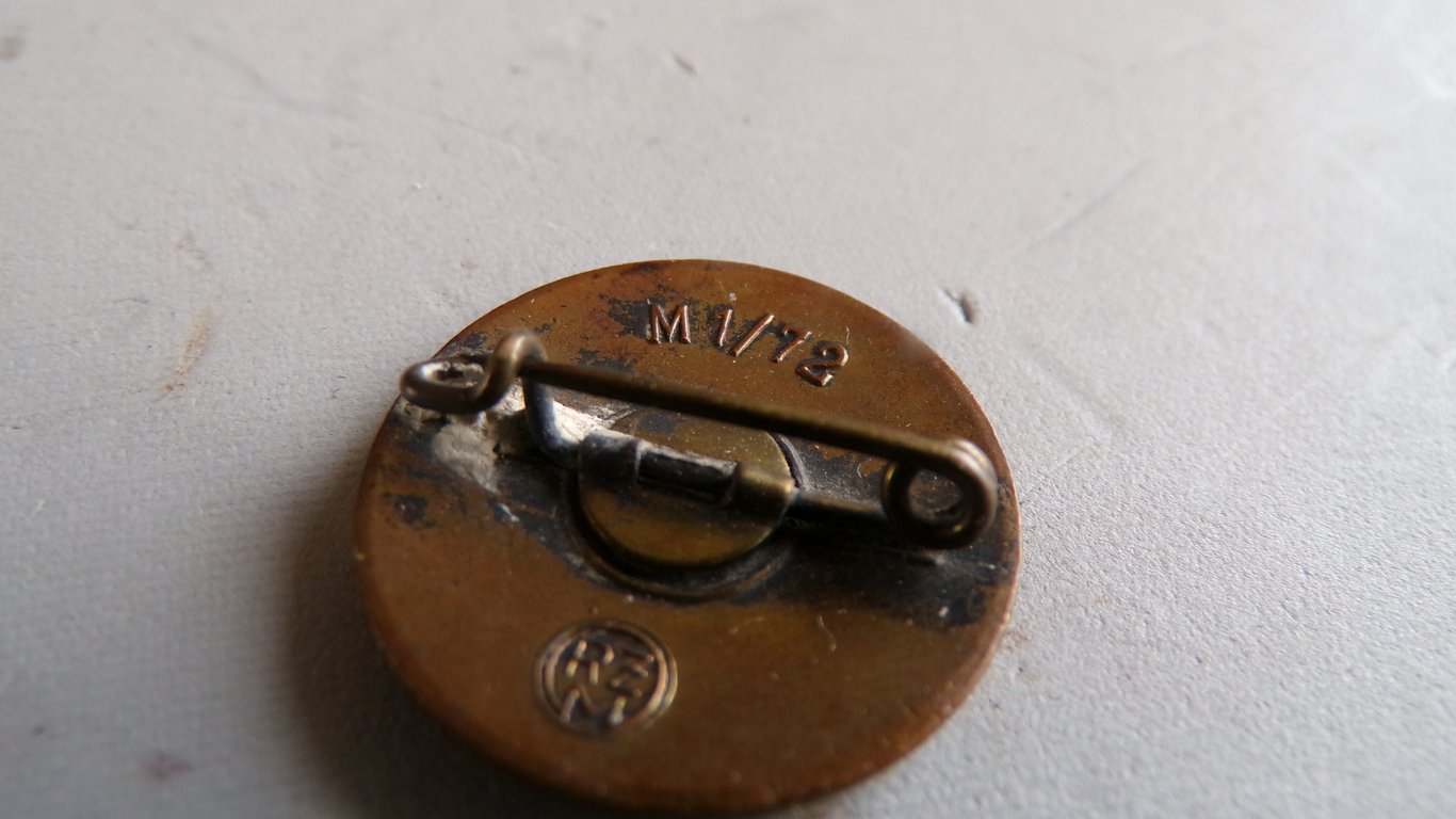 N.S.D.A.P Membership Party pin M1/72