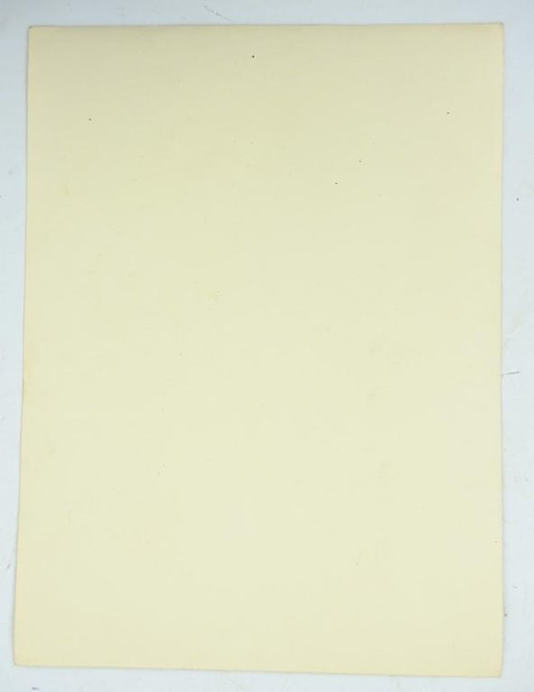 German Allgemeine-SS Wedding Picture