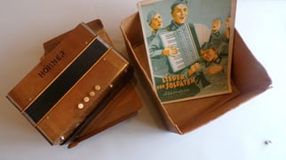 Hohner Stahlstimmen akkordeon