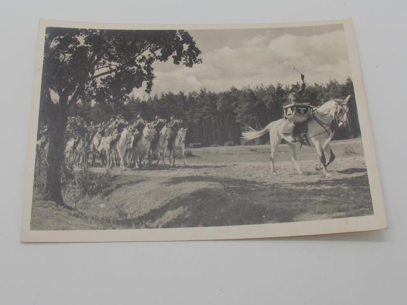 Postcard : Unsere Waffen-SS