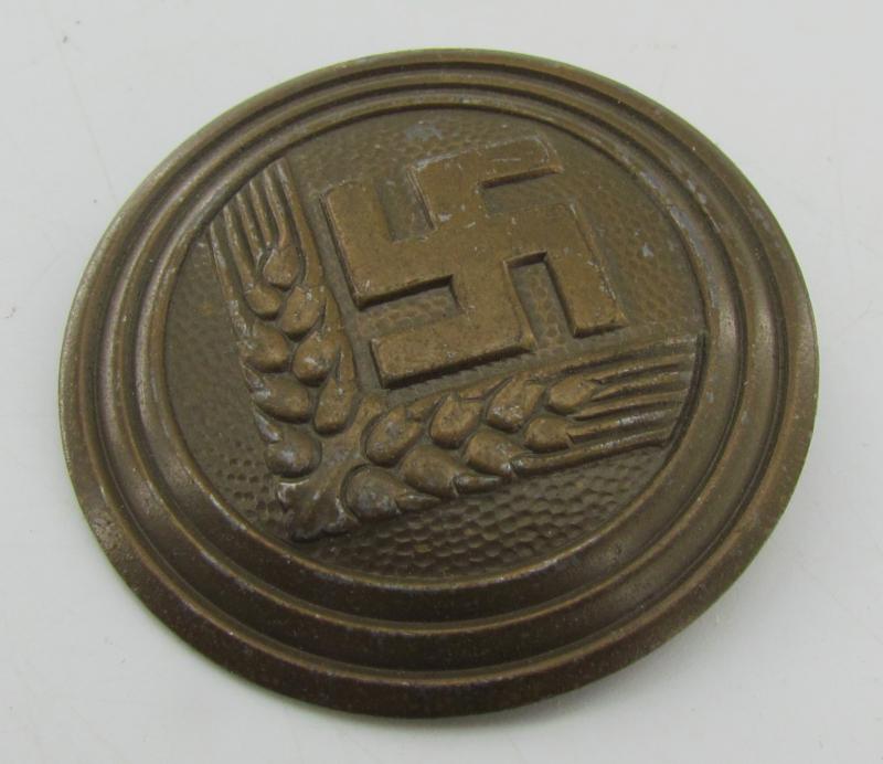 RADwJ Brooch for a 'Maidenführerin' (Assmann)