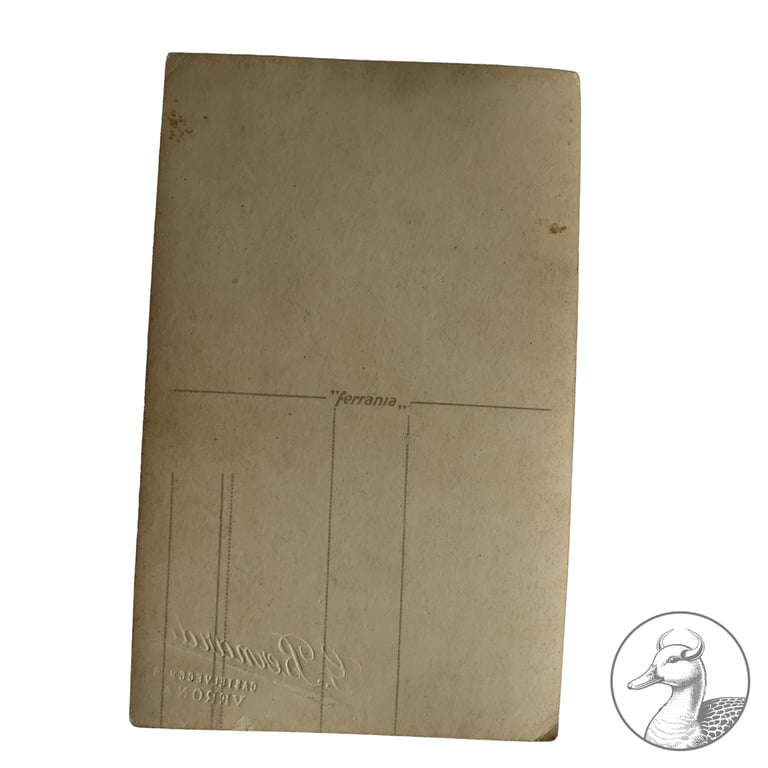 Portrait Soldat Luftwaffe Tropenuniform Italien Verona Südfront