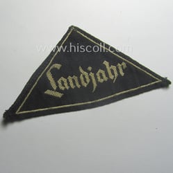 Superb - early-period! - HJ (ie. 'Hitlerjugend') honorary-district-triangle...