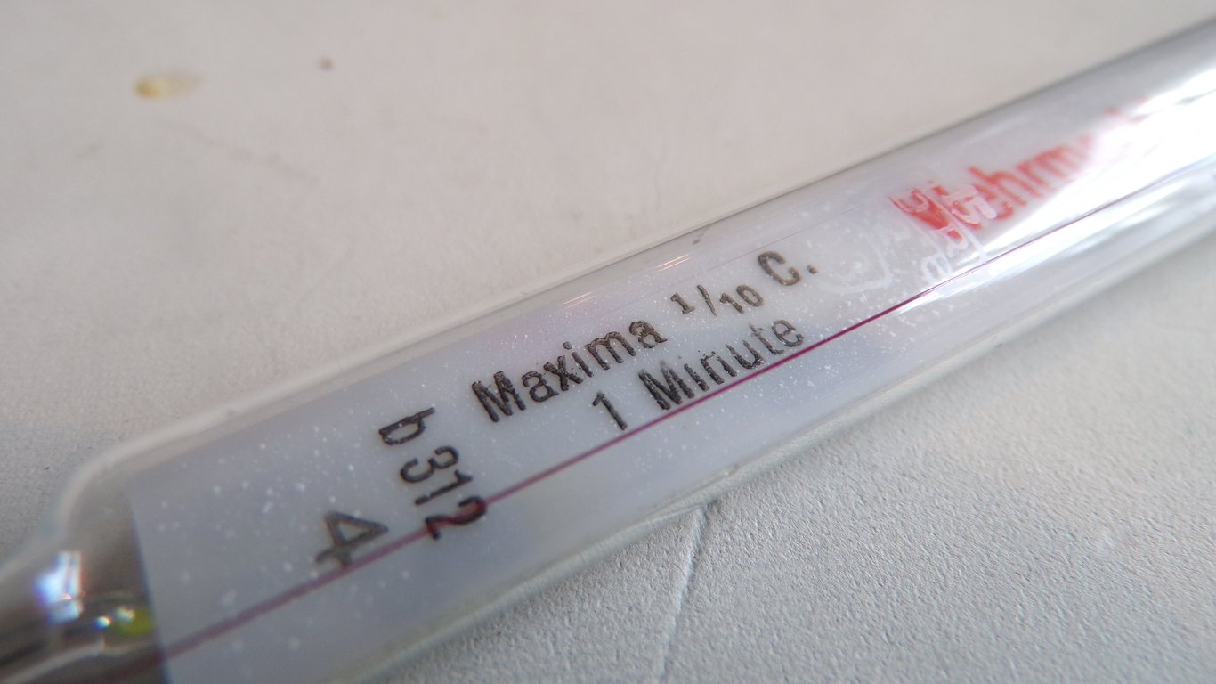 Wehrmacht Medical Fever Thermometer
