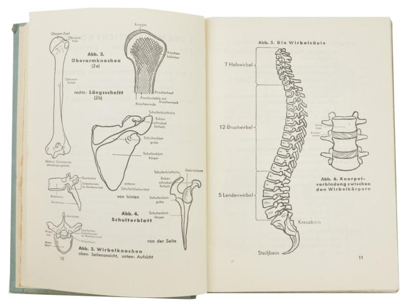 German DRK Medical First Aid Book