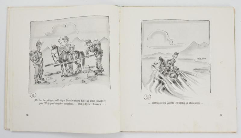 German Book: Nur kein Schema! Lachende Gebirgsjäger am Polarkreis