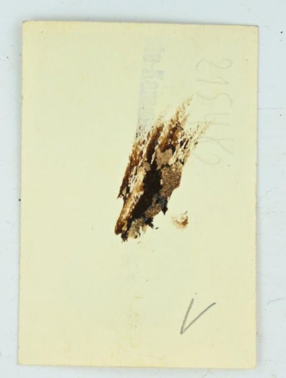 German WH Portrait Picture Wehrpass Size