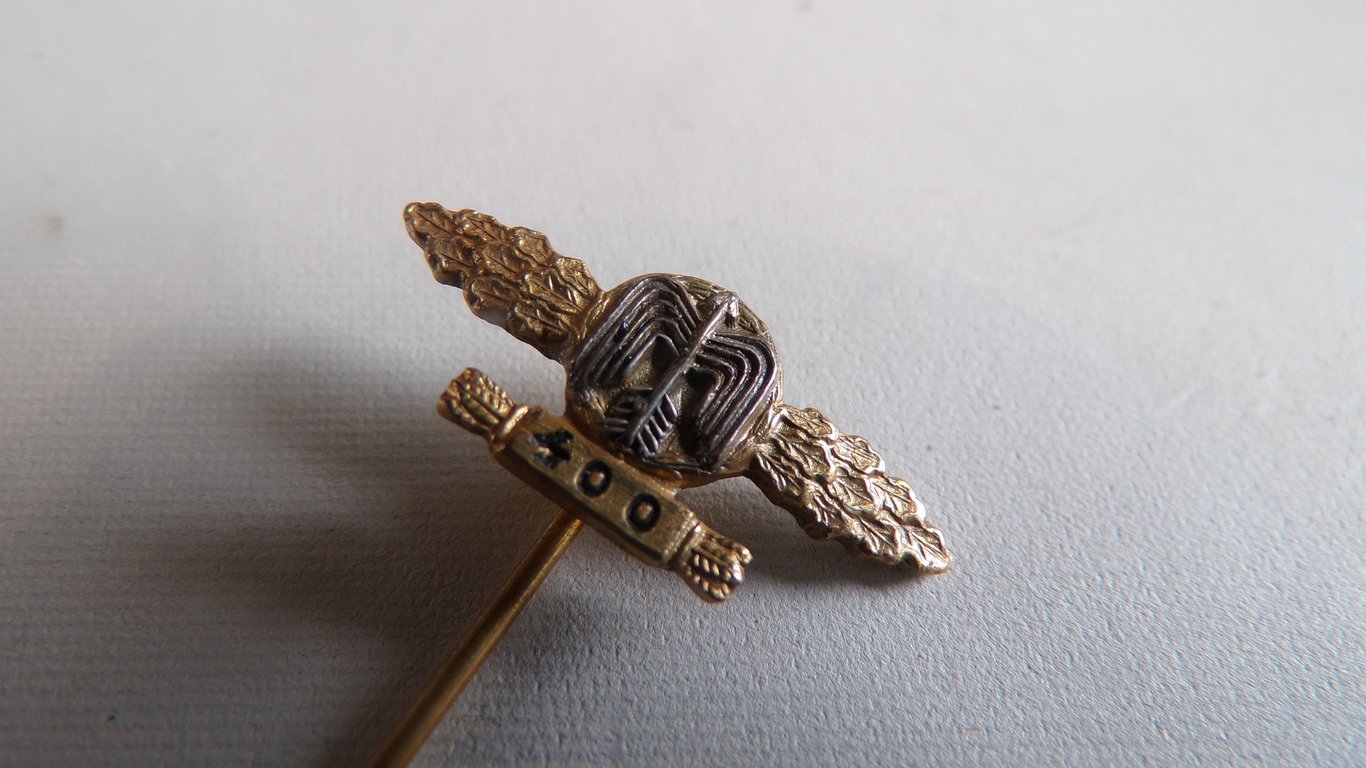 Luftwaffe Fighter Clasp 400 Mission Miniature
