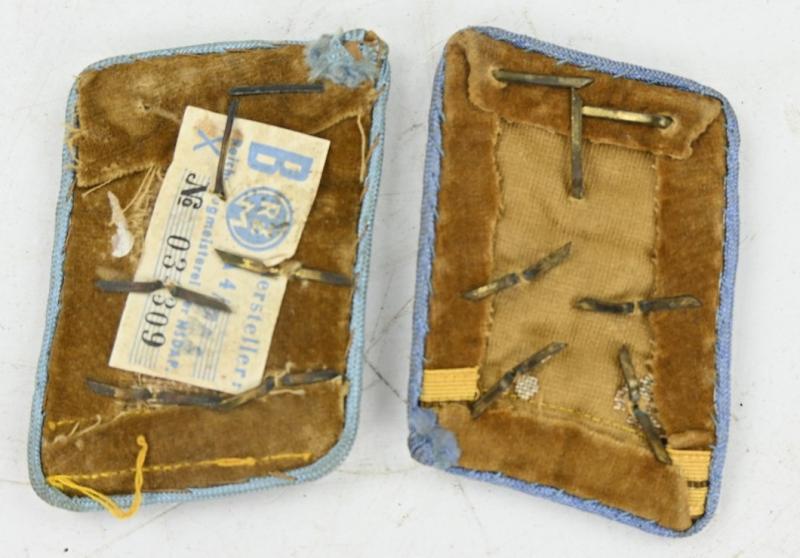 German NSDAP Collar Tab Set 'Hauptgemeinschaftsleiter'