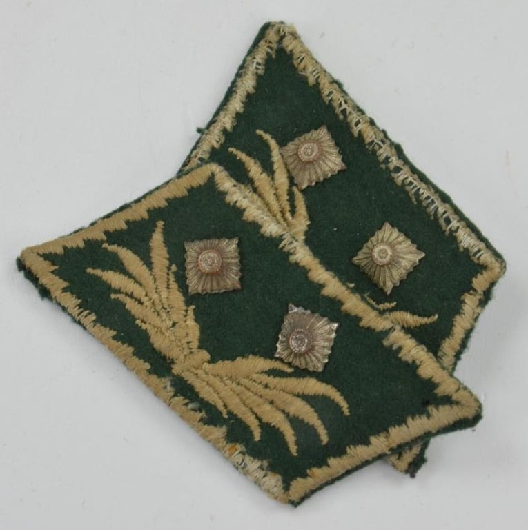 German WW2 Customs Secretary Collar Tab Set