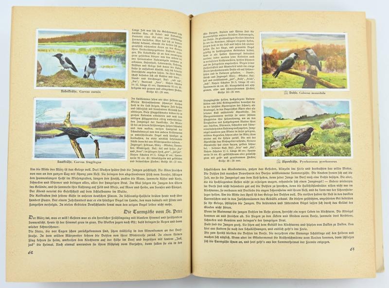 German Third Reich CigaretAlbum 'Aus Deutschlands Vogelwelt'
