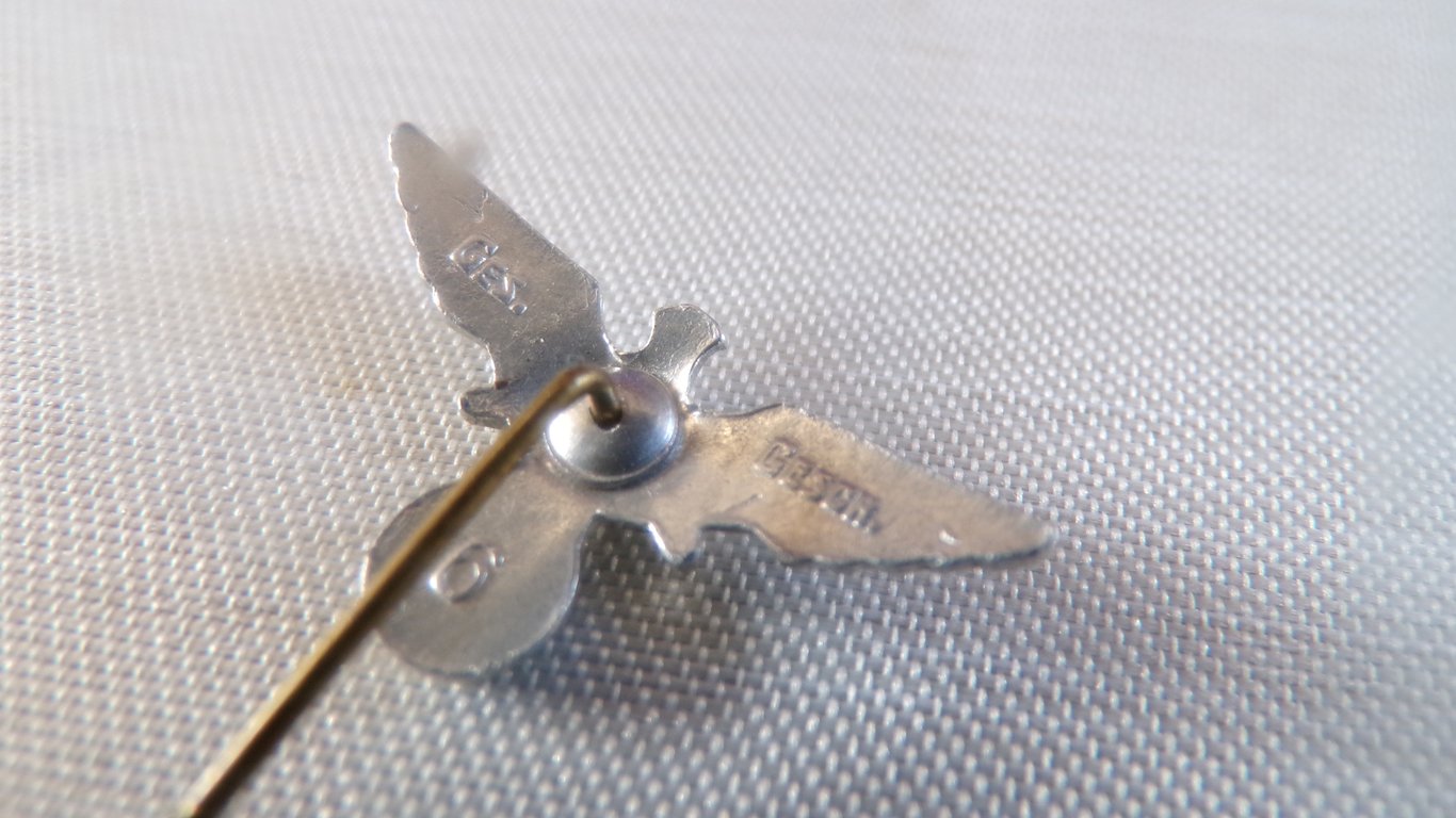25 MM NSRKB veterans Stickpin