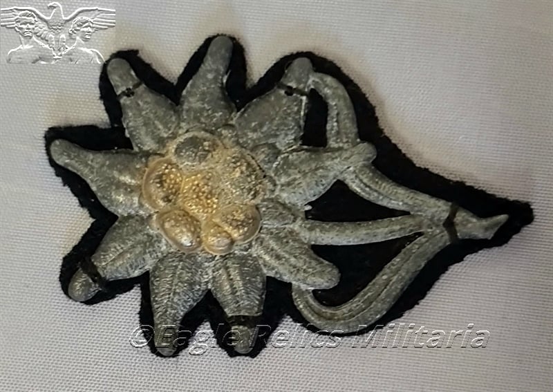 Wartime Edelweiss on Black backed cloth