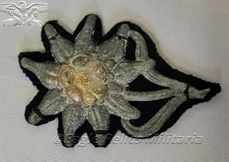 Wartime Edelweiss on Black backed cloth