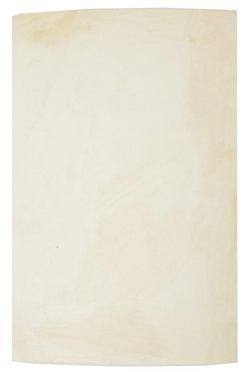 German Large Picture 'Generalfeldmarshall Ebrhard Milch'