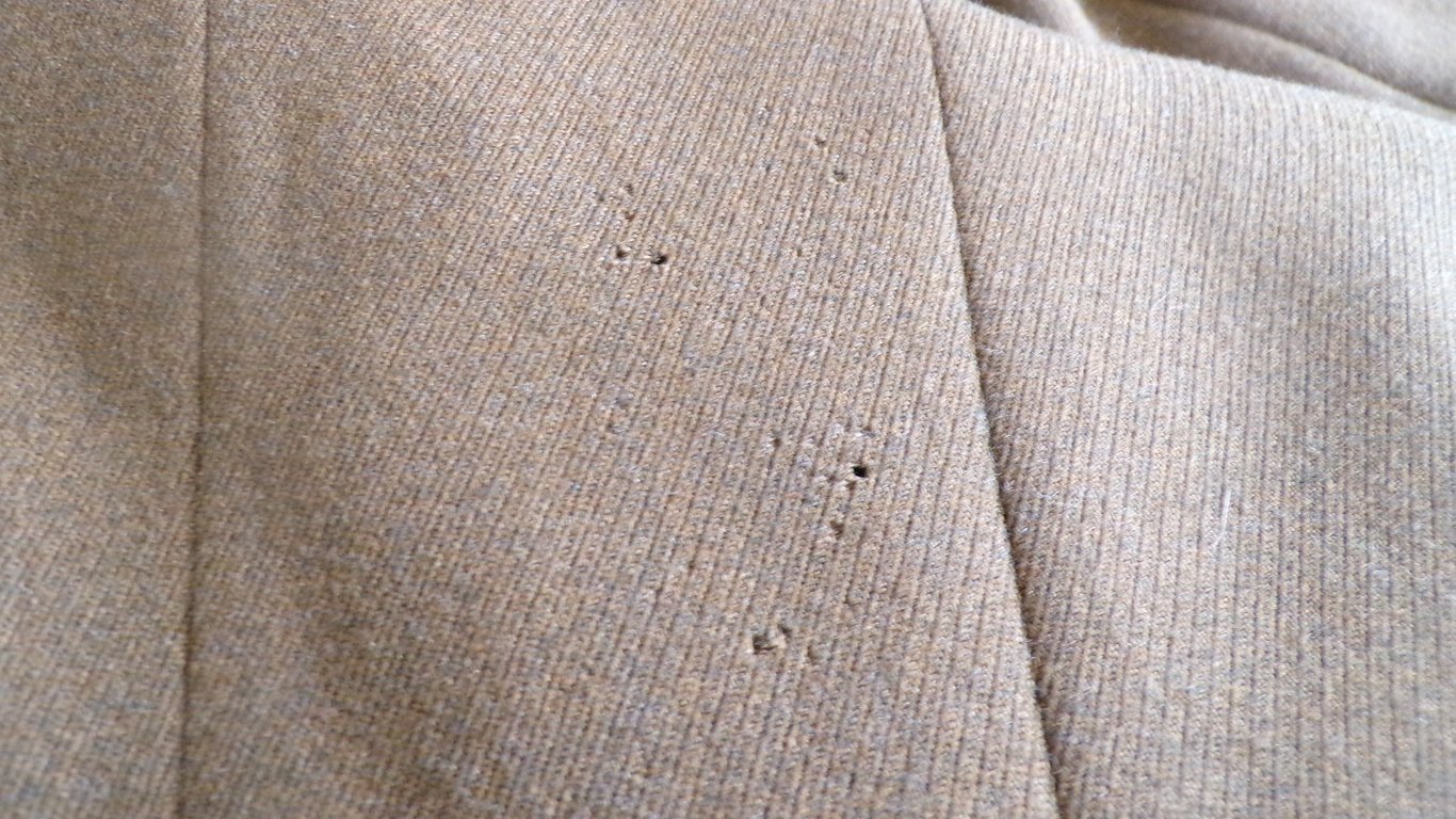 S.A Dress Tunic and Breeches Part 2