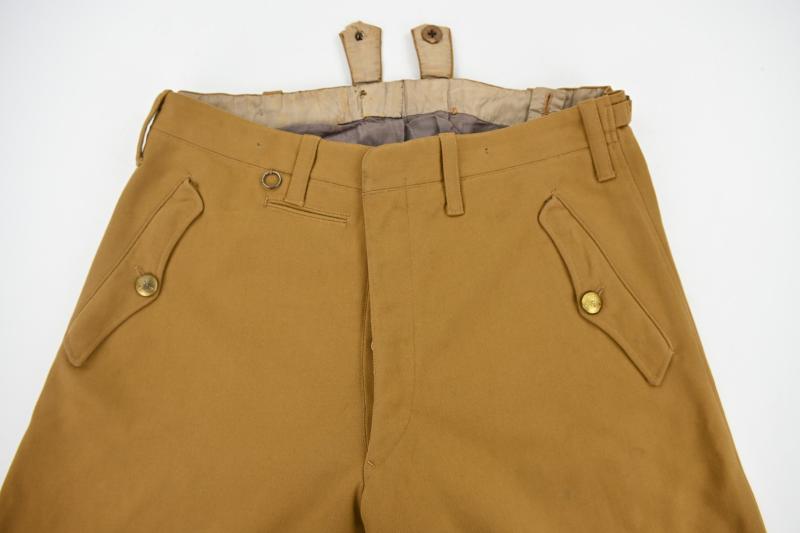 German NSDAP Political Breeches