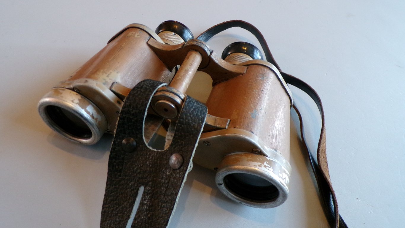 Heer/LW/SS 6 x 30 binoculars by DDX