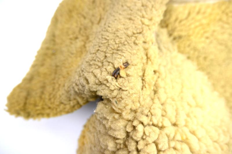 German LW Fur Winter Greatcoat