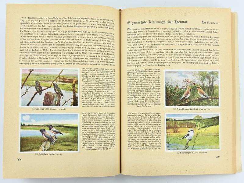 German Third Reich CigaretAlbum 'Aus Deutschlands Vogelwelt'