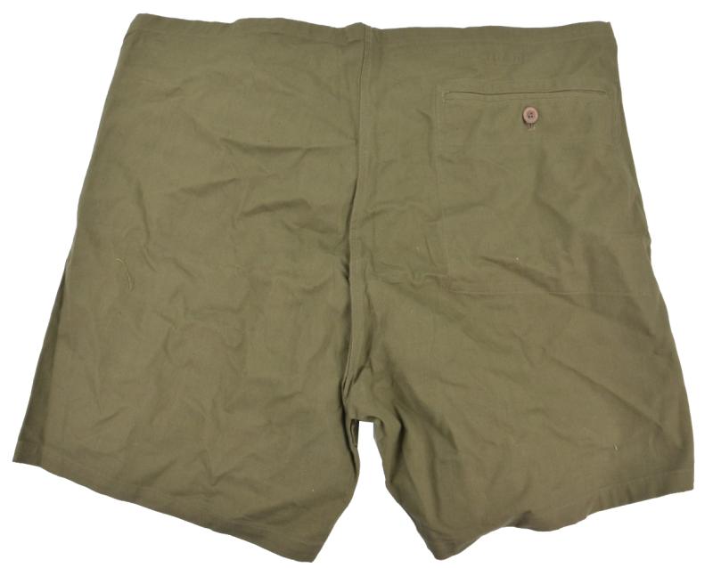 German RAD Shorts