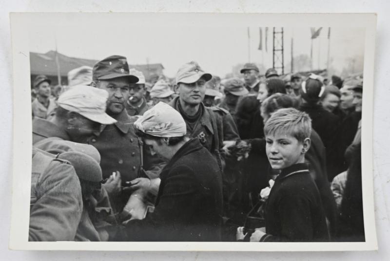 German WH Afrikakorps Picture Set