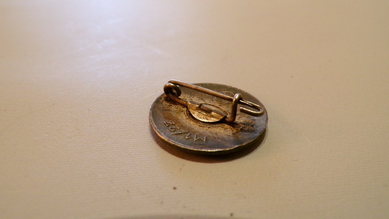 N.S.D.A.P Membership pin