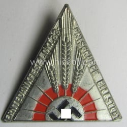 Unusually seen - early-period and silver-toned! - N.S.D.A.P.-related...