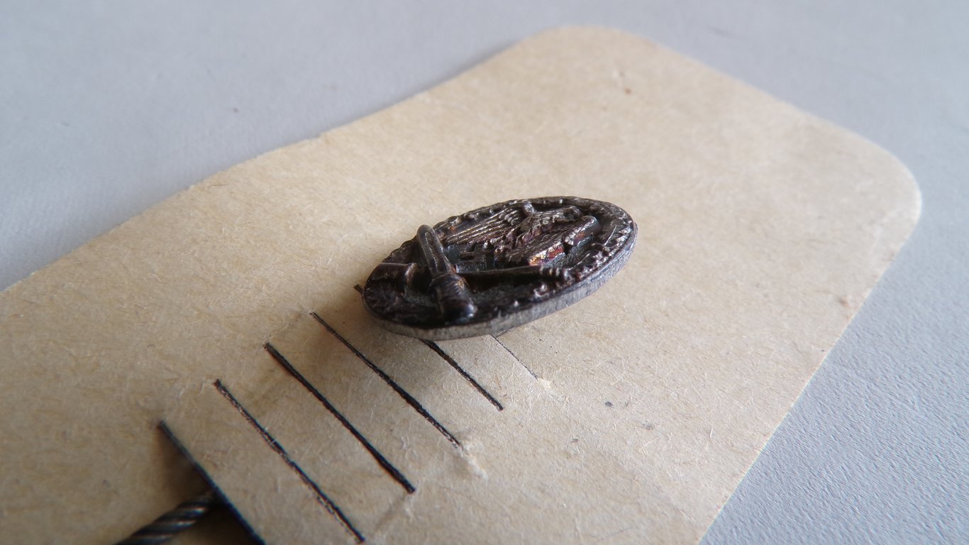 Allgemeines Sturmabzeichen stickpin