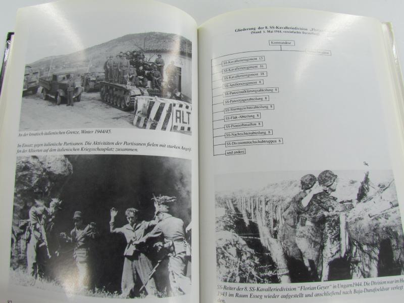 Book : Das letzte Jahr der Waffen-SS: Mai 1944-Mai 1945