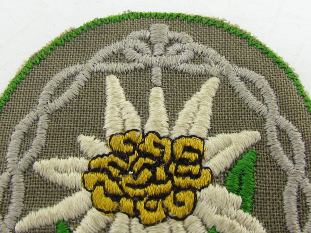 Rare Gebirgsjäger Edelweiss Sleeve Badge Variant