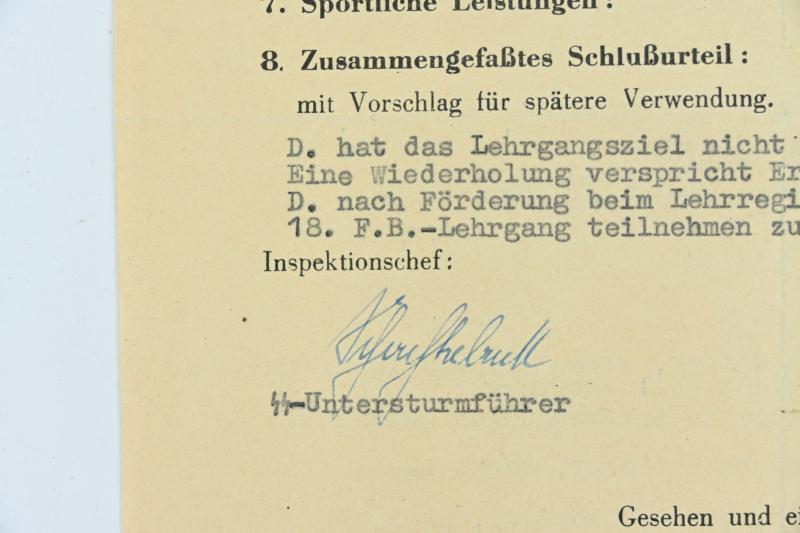 German Waffen-SS Personal Research File 'SS-Sturmmann Alfred Dreilich'