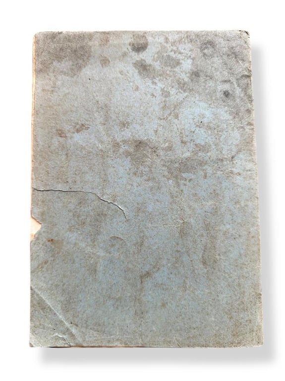 Notek Headlight Manual