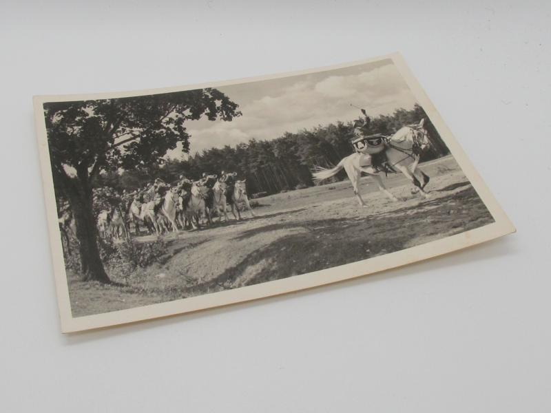 Postcard : Unsere Waffen-SS