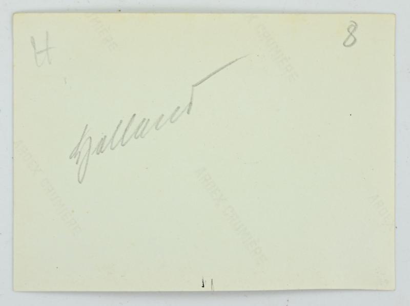 German WH Picture 1940 Mierlo Holland