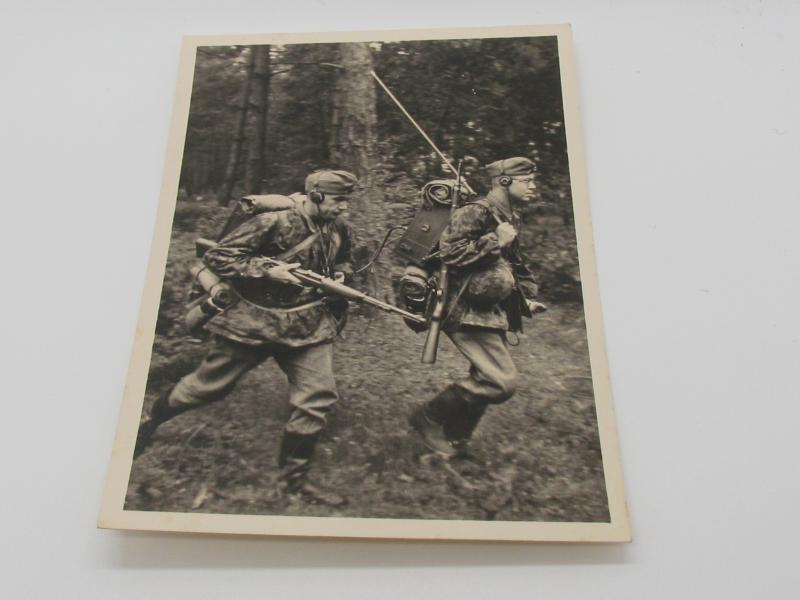 Postcard : Unsere Waffen-SS