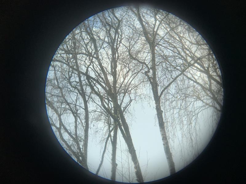 German Tan 6x30 Binoculars 'Dienstglas'  -CAG-