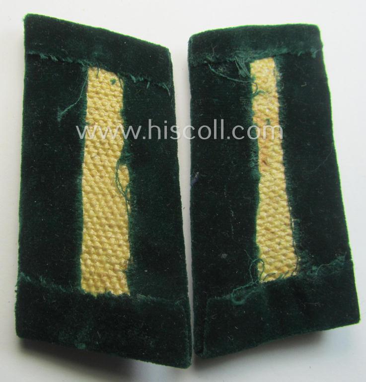 Pair of RAD- (ie. 'Reichsarbeitsdienst') officers'-type collar-tabs onto a green-coloured background: 'mittlere RAD-Führer'