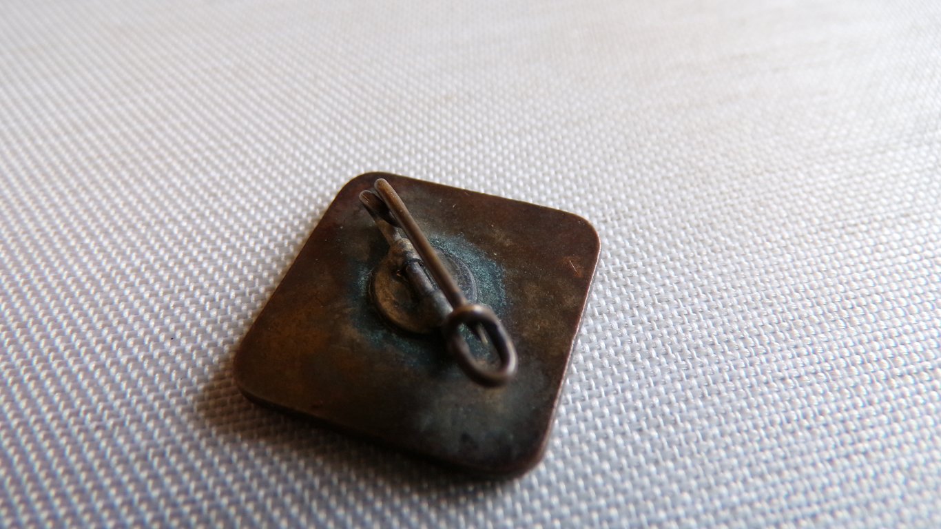 Dutch NSNAP Enamel Badge Westmark