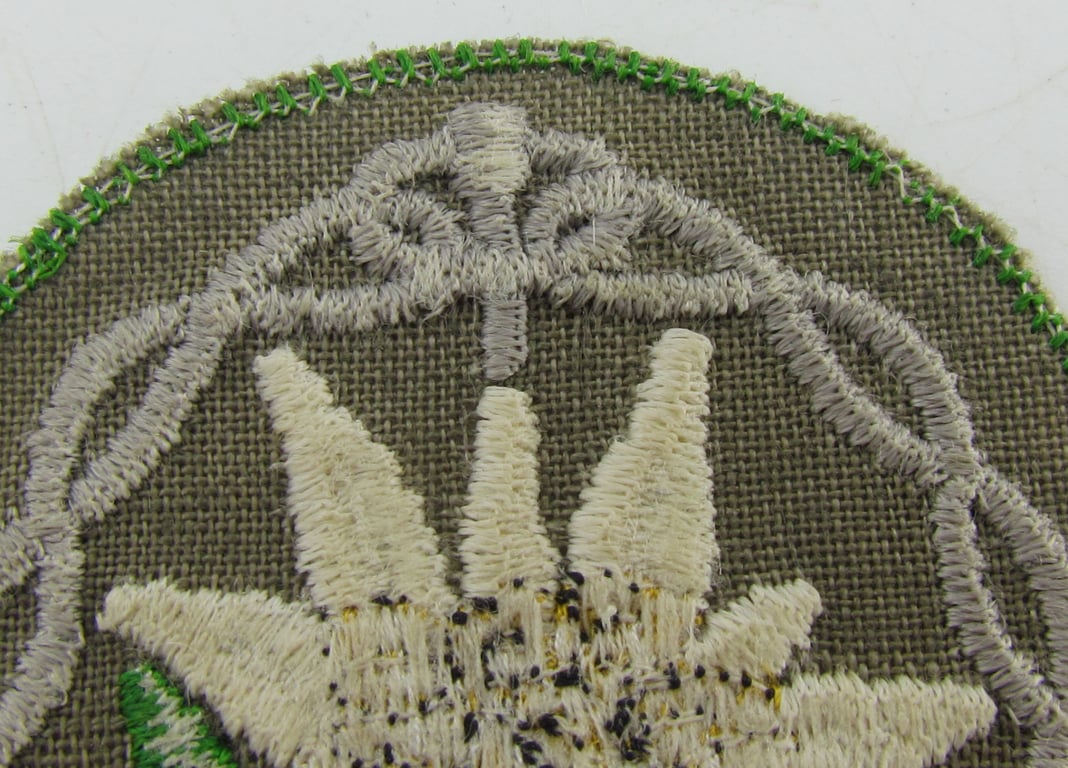 Rare Gebirgsjäger Edelweiss Sleeve Badge Variant