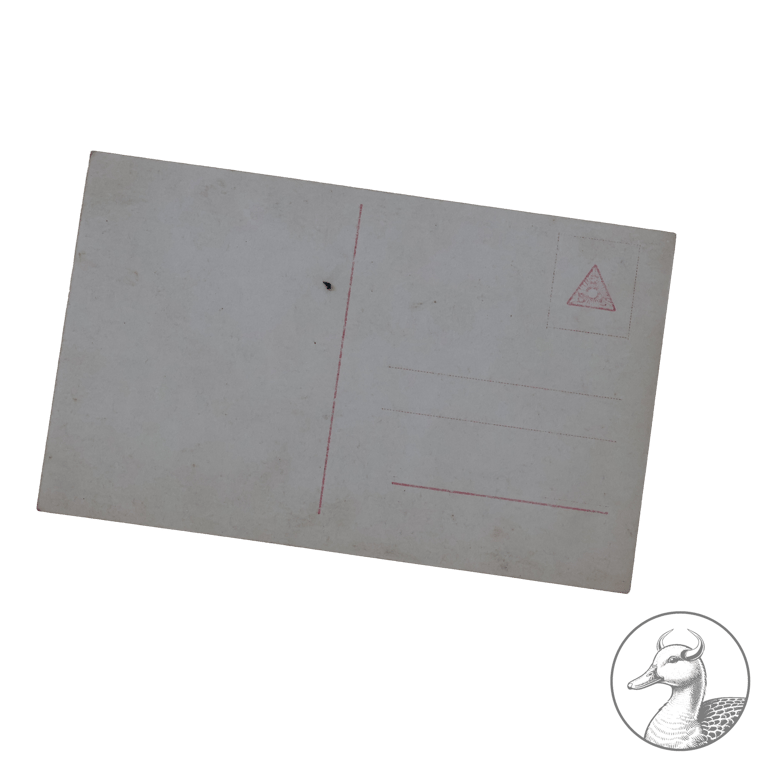 Fotografie Oswald Boelcke + Postkarte Boelcke und Immelmann 1.WK Pour le Merite