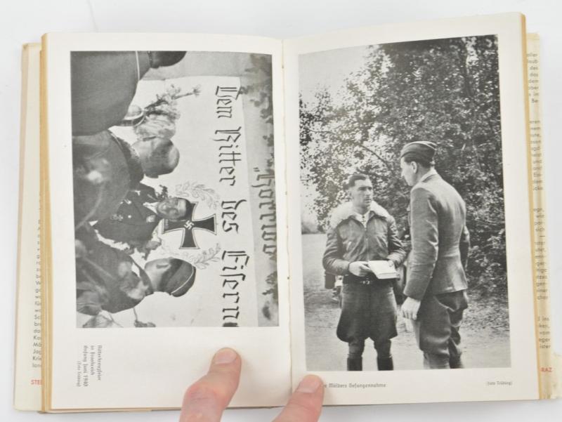 German Book: Molders und seine Manner