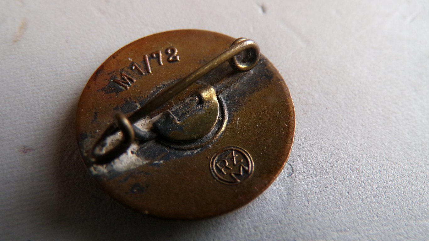 N.S.D.A.P Membership Party pin M1/72